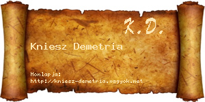 Kniesz Demetria névjegykártya
